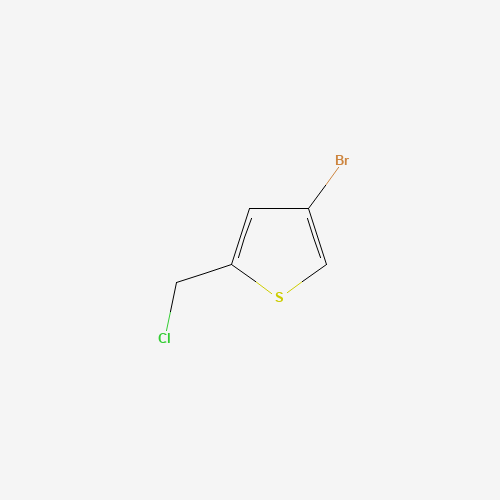 170859-70-8 4-bromo-2-(chloromethyl)thiophene chemical structure