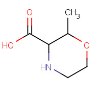 1449136-37-1 2-methylmorpholine-3-carboxylic acid chemical structure