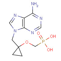 441785-21-3 [1-[(6-aminopurin-9-yl)methyl]cyclopropyl]oxymethylphosphonic acid chemical structure