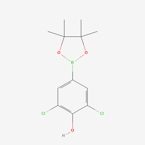 1003298-87-0 2,6-dichloro-4-(4,4,5,5-tetramethyl-1,3,2-dioxaborolan-2-yl)phenol chemical structure
