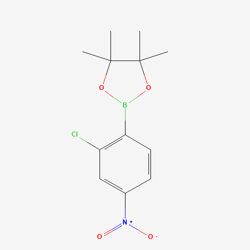 1426804-80-9 2-(2-chloro-4-nitrophenyl)-4,4,5,5-tetramethyl-1,3,2-dioxaborolane chemical structure