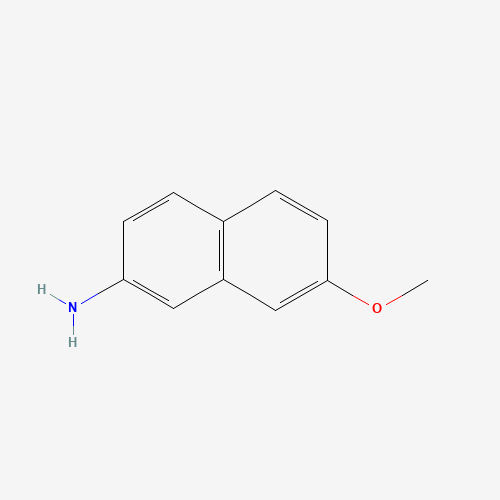92287-46-2 7-methoxynaphthalen-2-amine chemical structure