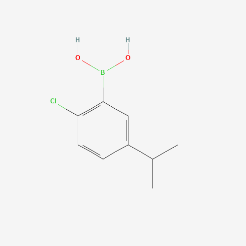 875550-89-3 (2-chloro-5-propan-2-ylphenyl)boronic acid chemical structure