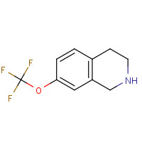199678-30-3 7-(trifluoromethoxy)-1,2,3,4-tetrahydroisoquinoline chemical structure