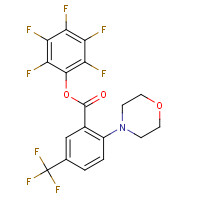 898289-52-6 (2,3,4,5,6-pentafluorophenyl) 2-morpholin-4-yl-5-(trifluoromethyl)benzoate chemical structure