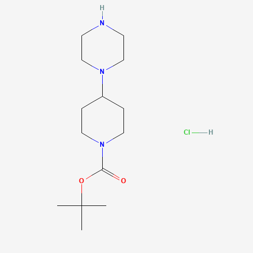 205059-39-8 tert-butyl 4-piperazin-1-ylpiperidine-1-carboxylate;hydrochloride chemical structure