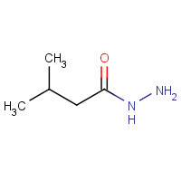 24310-18-7 3-methylbutanehydrazide chemical structure