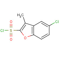 745023-62-5 5-chloro-3-methyl-1-benzofuran-2-sulfonyl chloride chemical structure