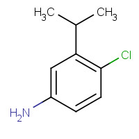 917101-83-8 4-chloro-3-propan-2-ylaniline chemical structure