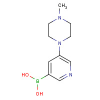 1286778-37-7 [5-(4-methylpiperazin-1-yl)pyridin-3-yl]boronic acid chemical structure