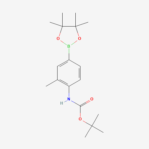 508223-54-9 tert-butyl N-[2-methyl-4-(4,4,5,5-tetramethyl-1,3,2-dioxaborolan-2-yl)phenyl]carbamate chemical structure