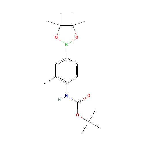 508223-54-9 tert-butyl N-[2-methyl-4-(4,4,5,5-tetramethyl-1,3,2-dioxaborolan-2-yl)phenyl]carbamate chemical structure