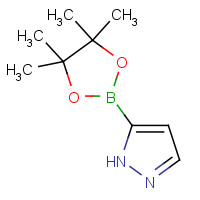 844501-71-9 5-(4,4,5,5-tetramethyl-1,3,2-dioxaborolan-2-yl)-1H-pyrazole chemical structure