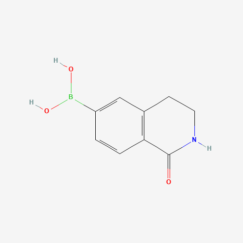 376584-81-5 (1-oxo-3,4-dihydro-2H-isoquinolin-6-yl)boronic acid chemical structure