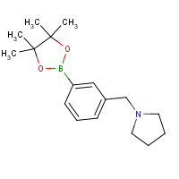 884507-45-3 1-[[3-(4,4,5,5-tetramethyl-1,3,2-dioxaborolan-2-yl)phenyl]methyl]pyrrolidine chemical structure