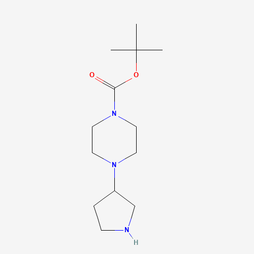 885959-36-4 tert-butyl 4-pyrrolidin-3-ylpiperazine-1-carboxylate chemical structure