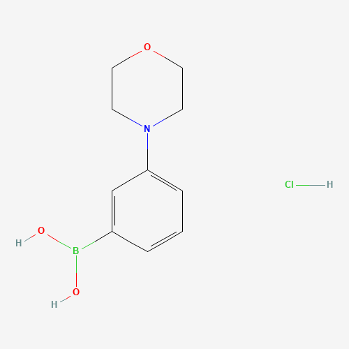 863248-20-8 (3-morpholin-4-ylphenyl)boronic acid;hydrochloride chemical structure