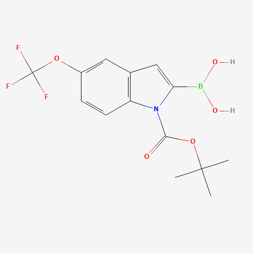 1034566-16-9 [1-[(2-methylpropan-2-yl)oxycarbonyl]-5-(trifluoromethoxy)indol-2-yl]boronic acid chemical structure