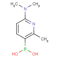 910054-74-9 [6-(dimethylamino)-2-methylpyridin-3-yl]boronic acid chemical structure