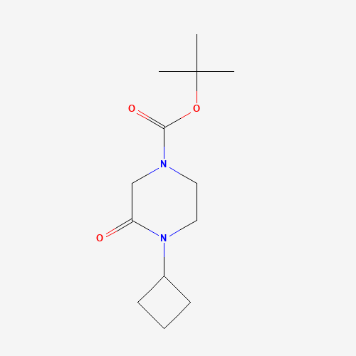 1284245-81-3 tert-butyl 4-cyclobutyl-3-oxopiperazine-1-carboxylate chemical structure