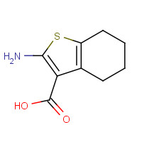 5936-58-3 2-amino-4,5,6,7-tetrahydro-1-benzothiophene-3-carboxylic acid chemical structure