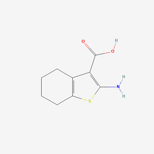 5936-58-3 2-amino-4,5,6,7-tetrahydro-1-benzothiophene-3-carboxylic acid chemical structure