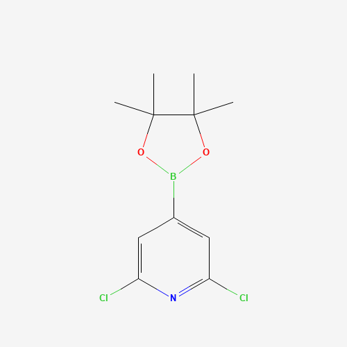 408492-27-3 2,6-dichloro-4-(4,4,5,5-tetramethyl-1,3,2-dioxaborolan-2-yl)pyridine chemical structure