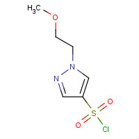 1183082-06-5 1-(2-methoxyethyl)pyrazole-4-sulfonyl chloride chemical structure