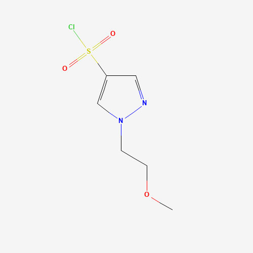 1183082-06-5 1-(2-methoxyethyl)pyrazole-4-sulfonyl chloride chemical structure