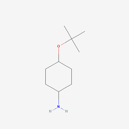 951625-97-1 4-[(2-methylpropan-2-yl)oxy]cyclohexan-1-amine chemical structure