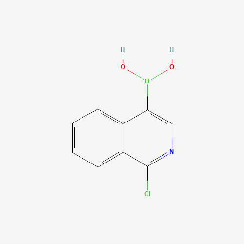 848841-48-5 (1-chloroisoquinolin-4-yl)boronic acid chemical structure
