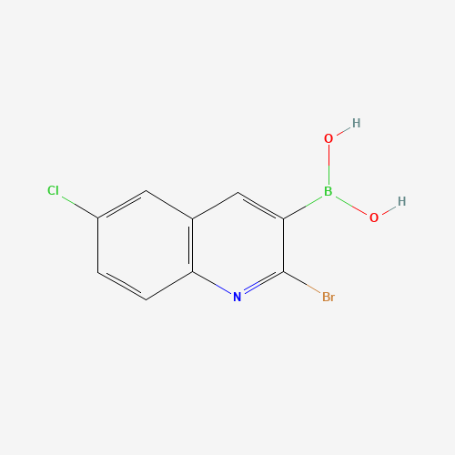 1026203-93-9 (2-bromo-6-chloroquinolin-3-yl)boronic acid chemical structure