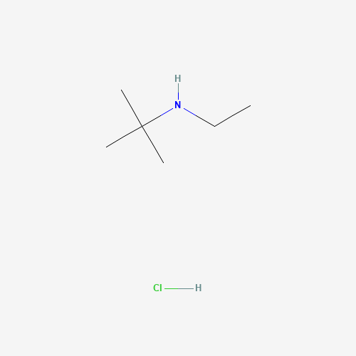 22675-80-5 N-ethyl-2-methylpropan-2-amine;hydrochloride chemical structure