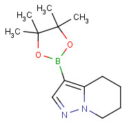 1160614-73-2 3-(4,4,5,5-tetramethyl-1,3,2-dioxaborolan-2-yl)-4,5,6,7-tetrahydropyrazolo[1,5-a]pyridine chemical structure