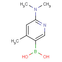 535934-70-4 [6-(dimethylamino)-4-methylpyridin-3-yl]boronic acid chemical structure