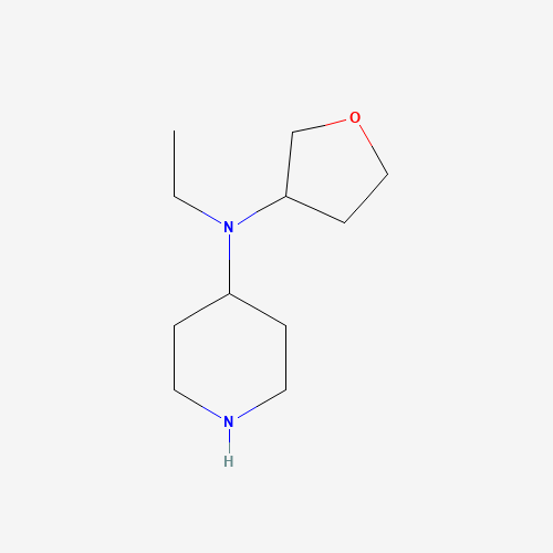 1339485-61-8 N-ethyl-N-(oxolan-3-yl)piperidin-4-amine chemical structure