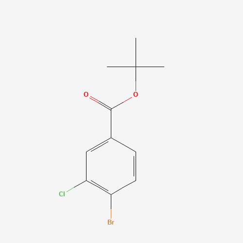 1494593-59-7 tert-butyl 4-bromo-3-chlorobenzoate chemical structure