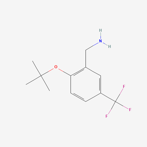 693248-13-4 [2-[(2-methylpropan-2-yl)oxy]-5-(trifluoromethyl)phenyl]methanamine chemical structure