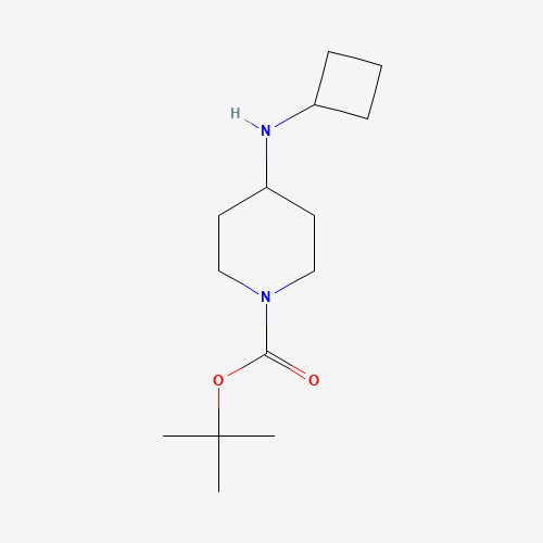 812690-41-8 tert-butyl 4-(cyclobutylamino)piperidine-1-carboxylate chemical structure