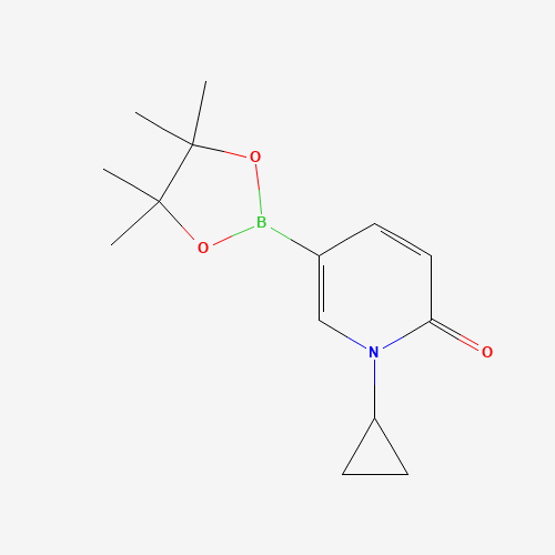 1596367-55-3 1-cyclopropyl-5-(4,4,5,5-tetramethyl-1,3,2-dioxaborolan-2-yl)pyridin-2-one chemical structure