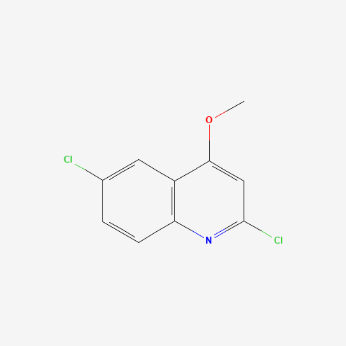 952434-99-0 2,6-dichloro-4-methoxyquinoline chemical structure