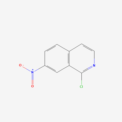 244219-94-1 1-chloro-7-nitroisoquinoline chemical structure