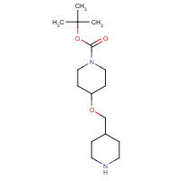 1044921-07-4 tert-butyl 4-(piperidin-4-ylmethoxy)piperidine-1-carboxylate chemical structure
