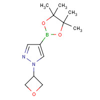 1339890-99-1 1-(oxetan-3-yl)-4-(4,4,5,5-tetramethyl-1,3,2-dioxaborolan-2-yl)pyrazole chemical structure