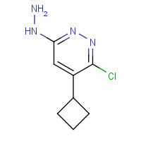 233276-12-5 (6-chloro-5-cyclobutylpyridazin-3-yl)hydrazine chemical structure