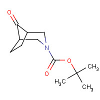 637301-19-0 tert-butyl 8-oxo-3-azabicyclo[3.2.1]octane-3-carboxylate chemical structure
