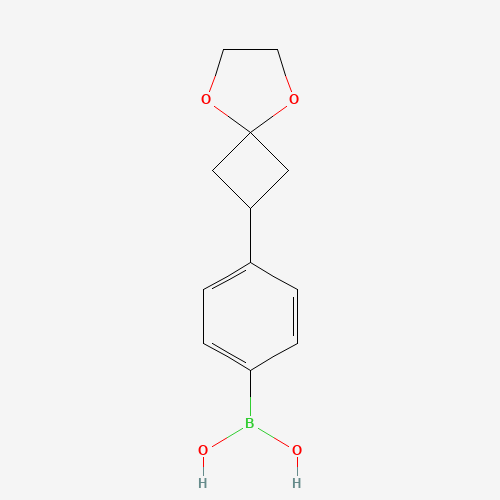 254892-99-4 [4-(5,8-dioxaspiro[3.4]octan-2-yl)phenyl]boronic acid chemical structure