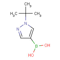 1416785-99-3 (1-tert-butylpyrazol-4-yl)boronic acid chemical structure