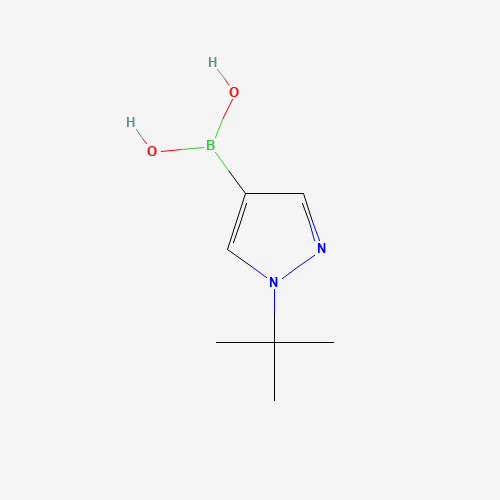 1416785-99-3 (1-tert-butylpyrazol-4-yl)boronic acid chemical structure