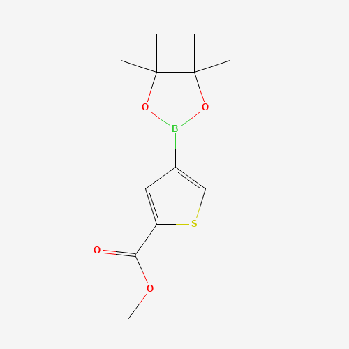 709648-80-6 methyl 4-(4,4,5,5-tetramethyl-1,3,2-dioxaborolan-2-yl)thiophene-2-carboxylate chemical structure